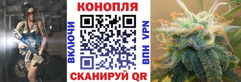 Канабис OG Kush  Муром 